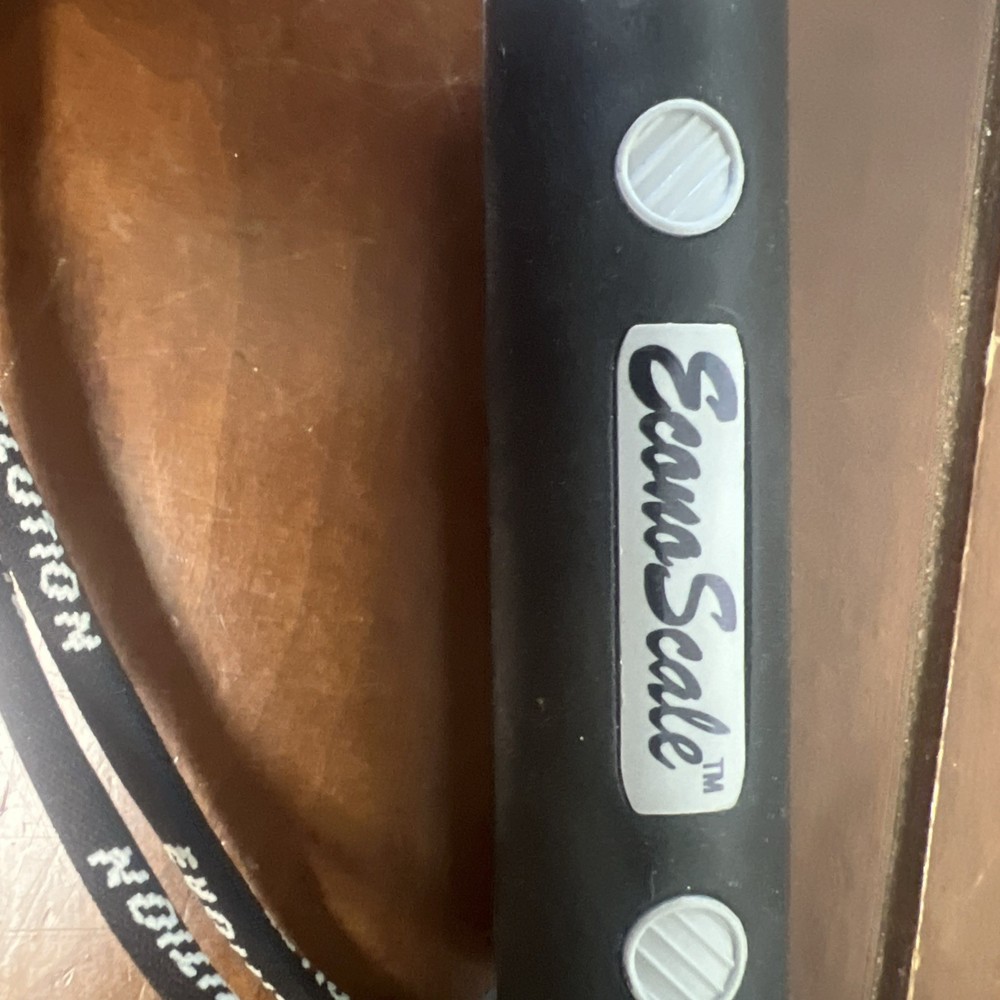 Econo Scale Fishing