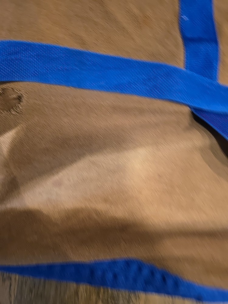 Stable Sheet *Damaged* 72