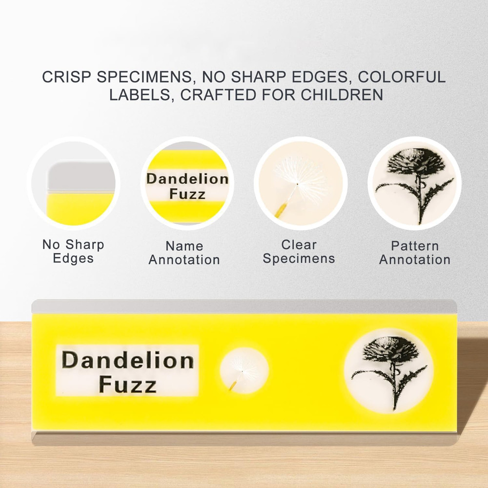 48Pcs Prepared Microscope Slides Specimen Animals Insects Plants Flowers Sample