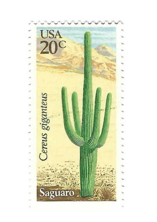 STAMP US SCOTT 1945 "Saguaro" 20 CENT 1981 MNG