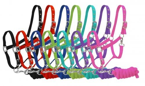 Adjustable 2-Ply Nylon Halter w/ 7' Lead