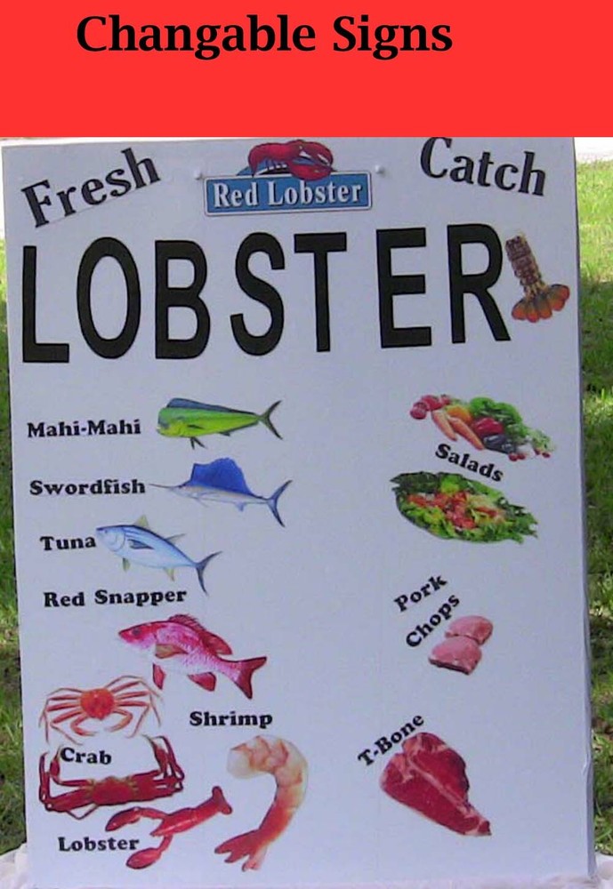 Vinyl Cutter Not Needed Learn Sign Maker Secrets  (Building Instructions Only)