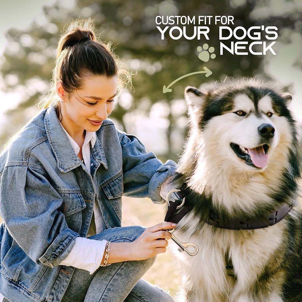 Prong Training Collar for Large Dogs – Gentle Control for Obedience Training