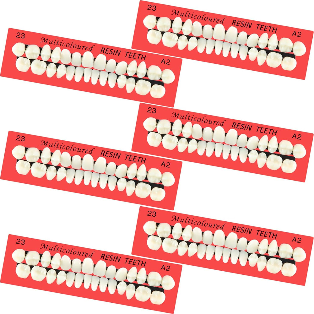 6 Sets Acrylic Resin Fake Teeth Artificial Teeth Denture Replacement Tooth Prop