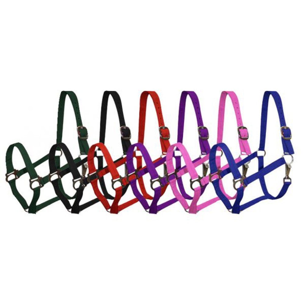 PONY HALTER Adjustable 2-Ply Nylon