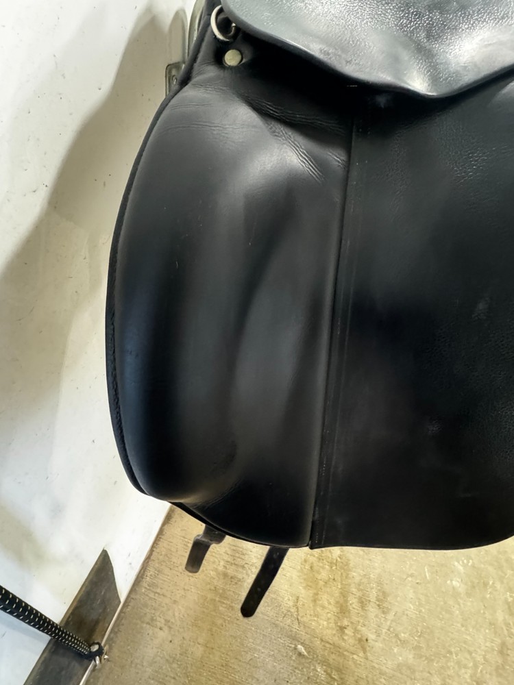 Trilogy 17.5" Verago W Tree