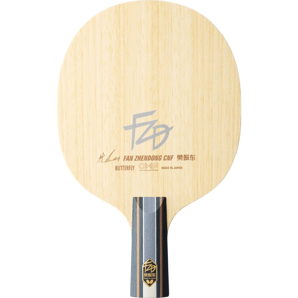 Fan Zhendong CNF CS