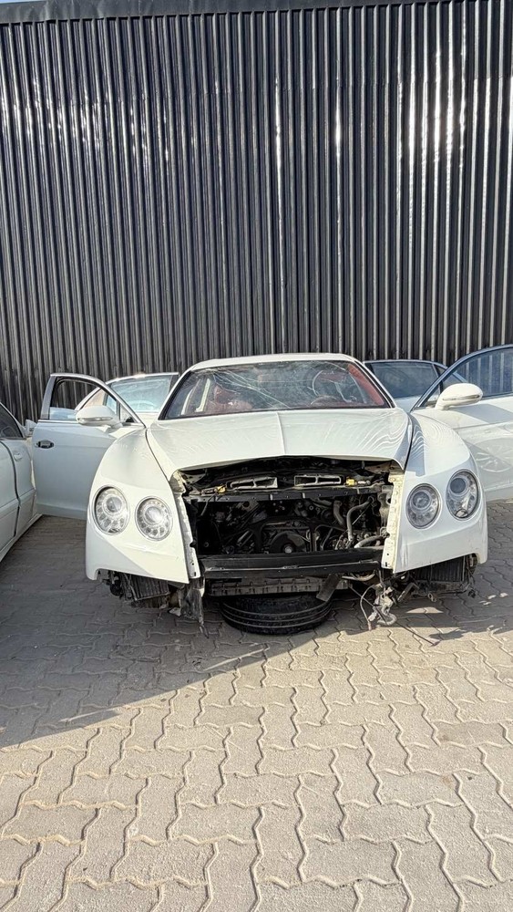 Bentley Warning Lamp 3D0919209