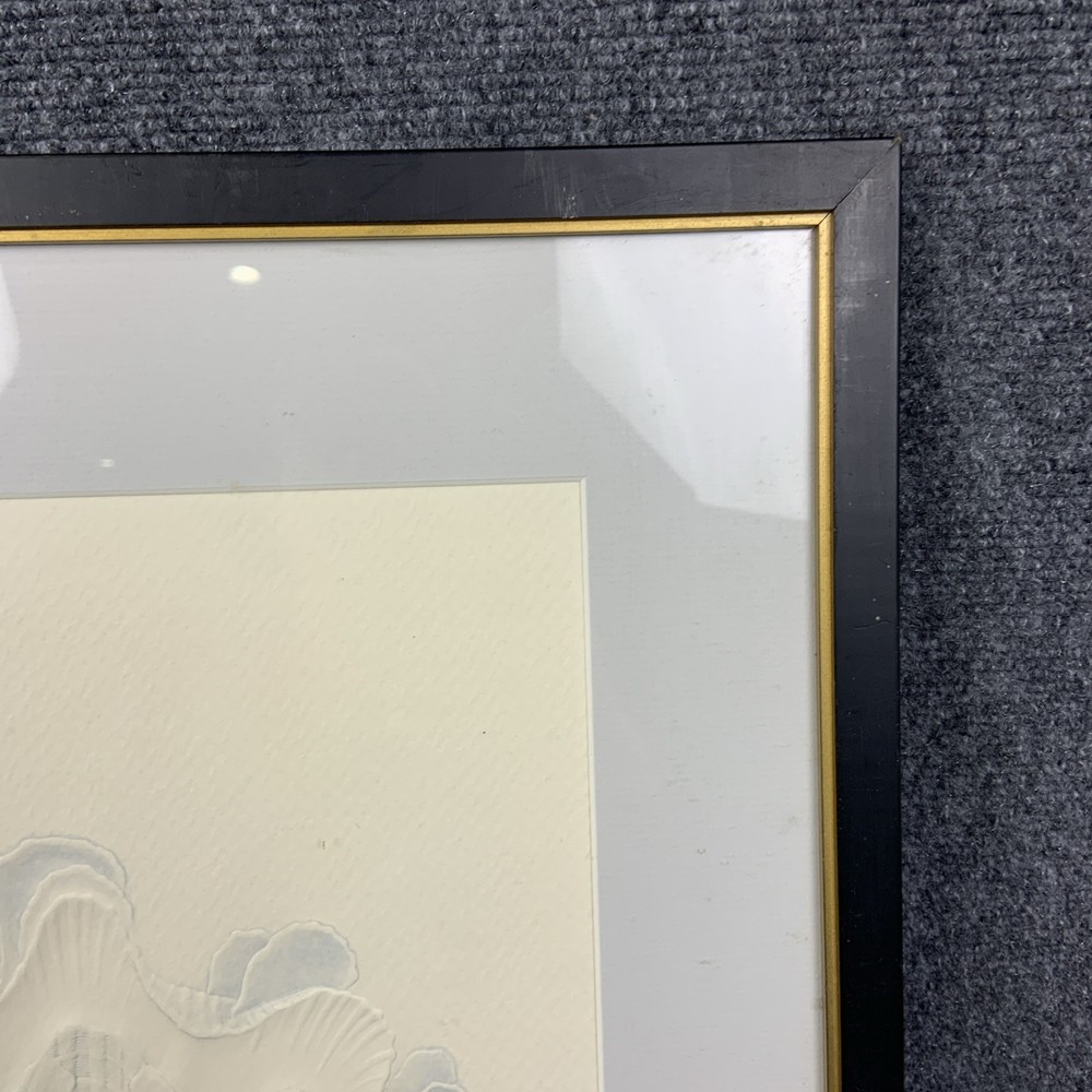Suzanne Thomas Framed Tridaena Squamosa I Embossed Shell Signed Artist’s Proof
