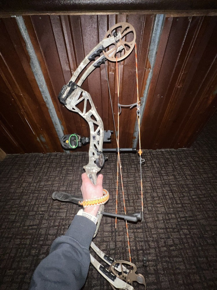 Bear Paradox Compound Bow