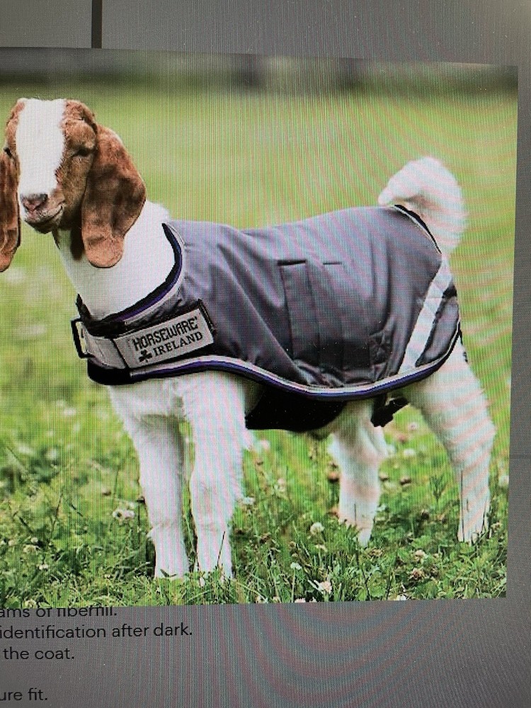 Goat Coat / Jacket