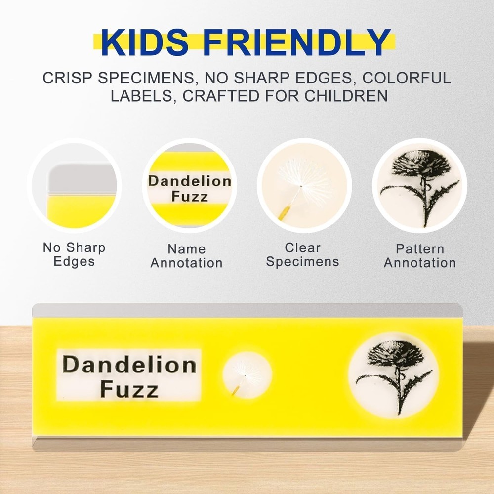 48-Pack Microscope Slides Featuring Plants, Insects - Perfect for STEM Learning