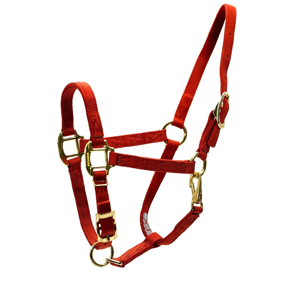 3/4" Adj Weanling Halter W/Snap Rust