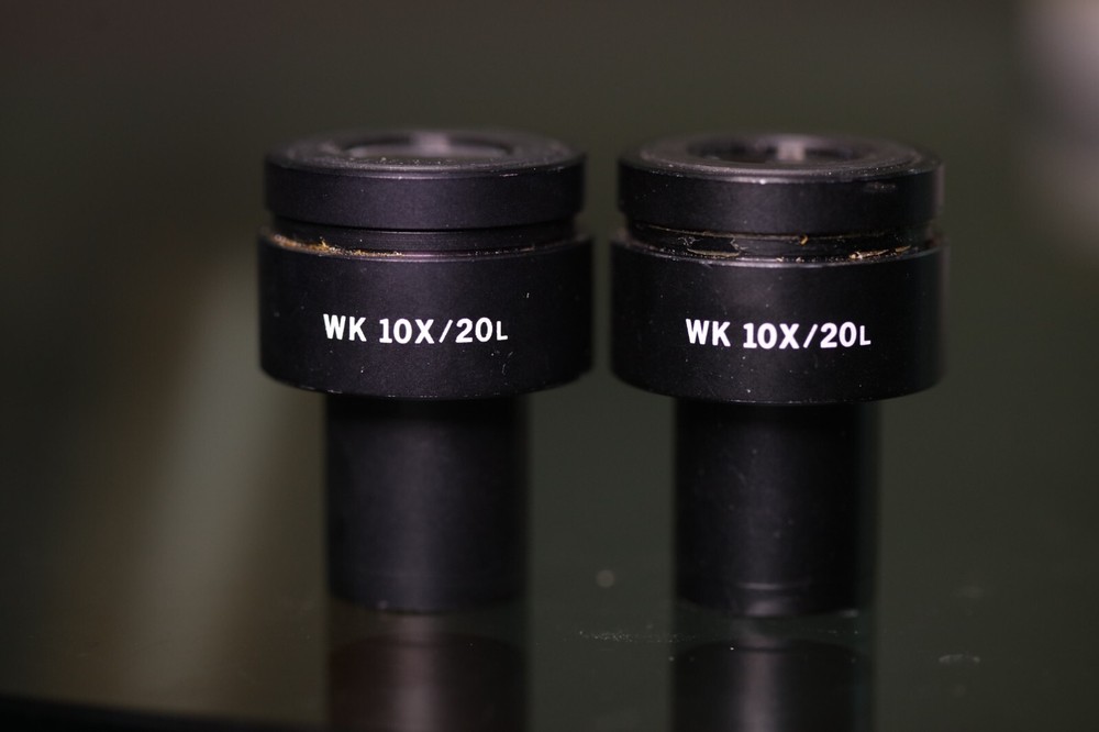 Olympus WK 10X/20L Microscope Eyepiece Pair