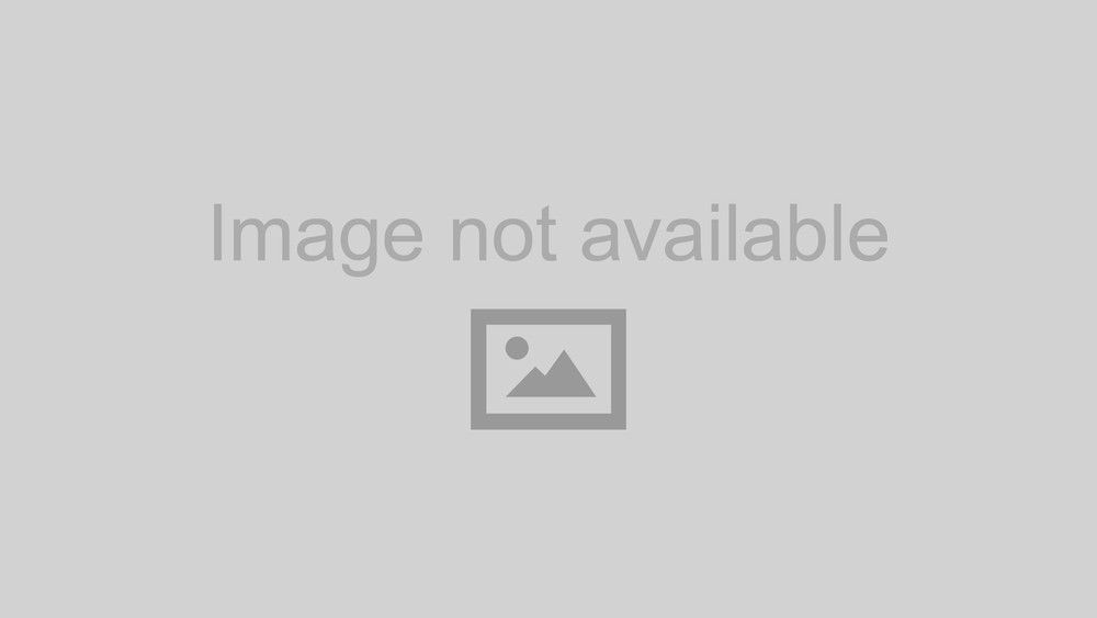 PROG DYNAMIC Transfer Switch PD5110010Q - Reliable Power Control