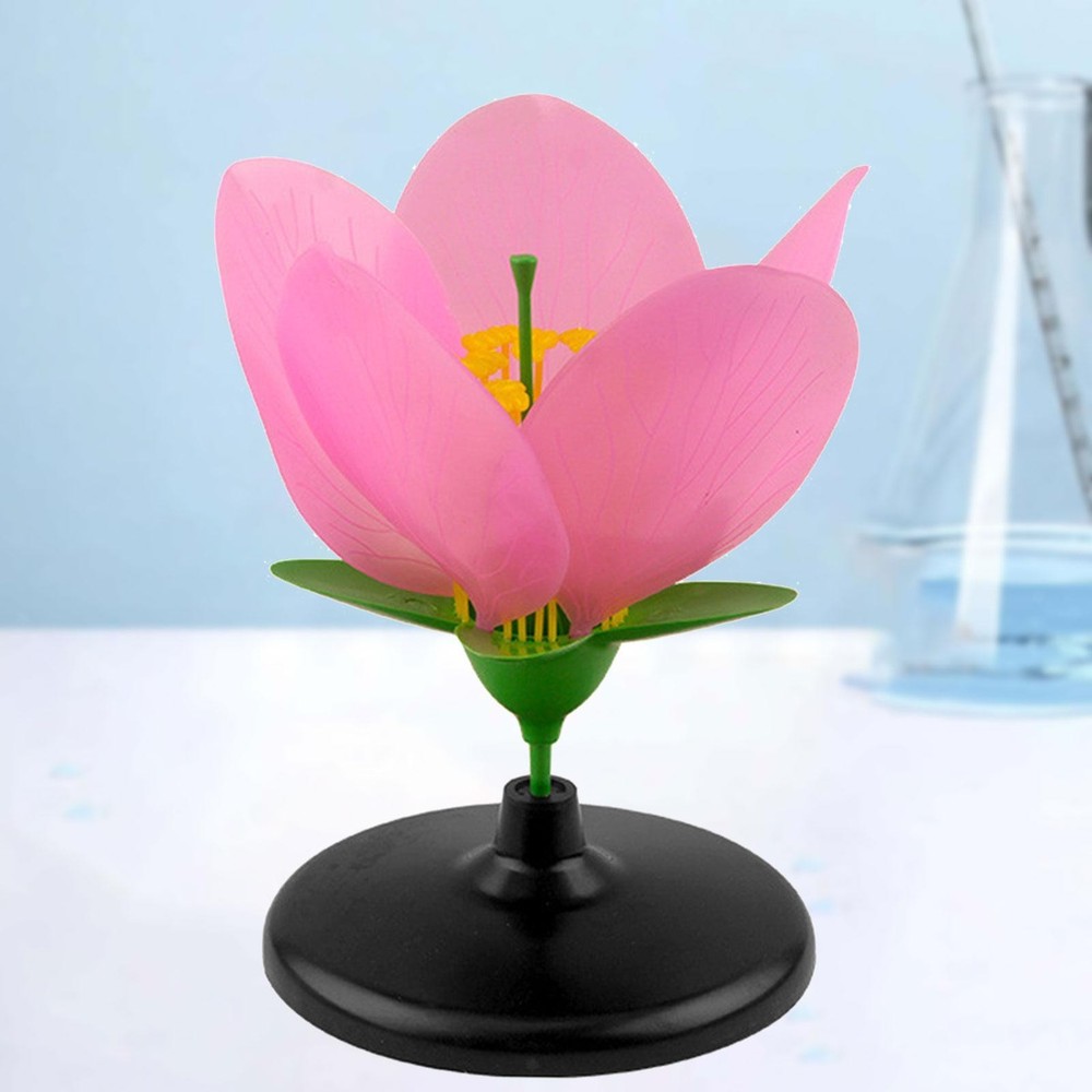 Peach Plant Model Petal Structure Realistic Desktop Decor Teaching Aid for