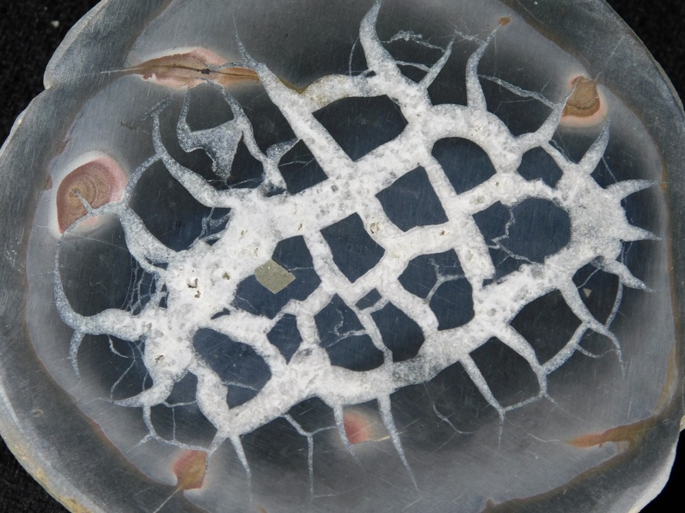 Neat! Lighting Like Pattern! Split and Polished SEPTARIAN Nodule Morocco 368gr