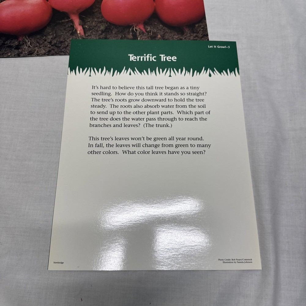 Macmillan IMAGINATION STATION Newbridge Educational Program Homeschool