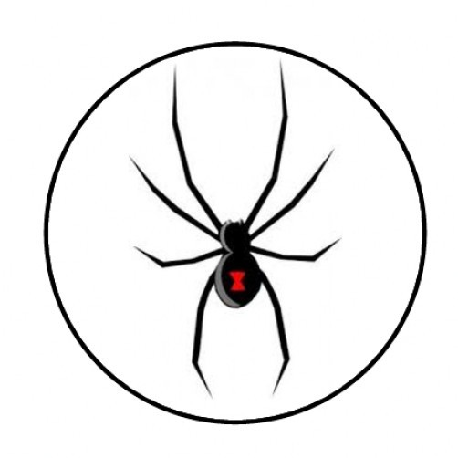 48 BLACK WIDOW SPIDER ENVELOPE SEALS LABELS STICKERS 1.2" ROUND
