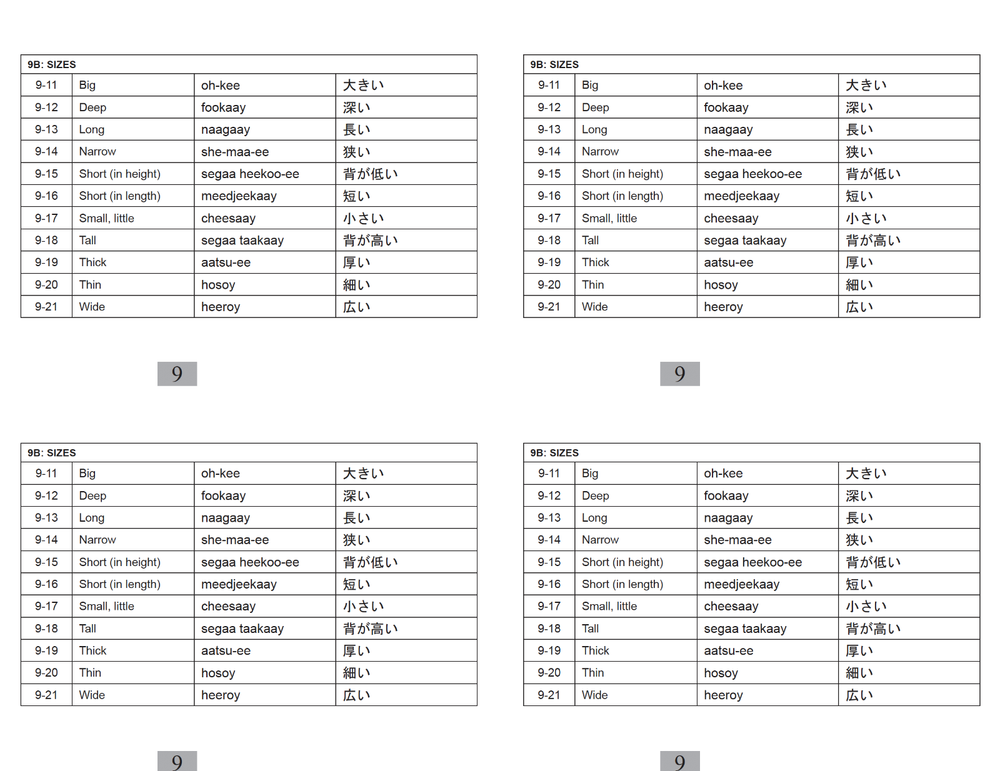 Defense Language Institute DLI BASIC JAPAN JAPANESE Text & 600+ MP3 Audio CD