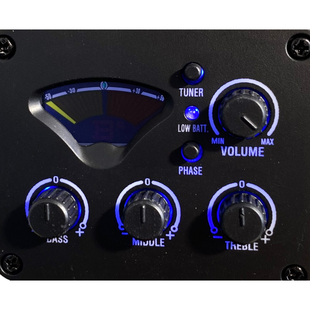 Haze C551BCEQSMFL Solid Top Fretless Arched Back Classical Guitar - Matte