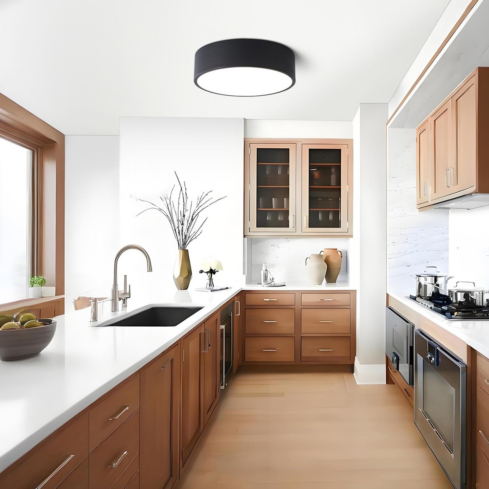 Dimmable Modern Flush Mount Ceiling Light Fixture,Matte Black Round LED Light...