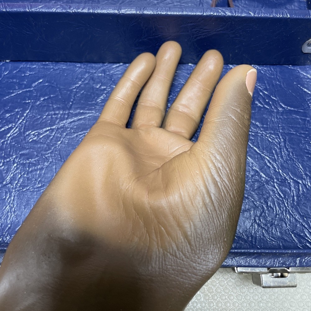 Life Form Advanced Venipuncture Training Kit Dark ***AS IS***USED***