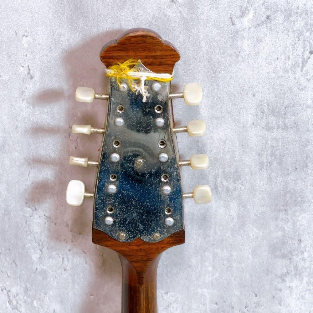 Rare! Raffaele Calace Mandolin No.16