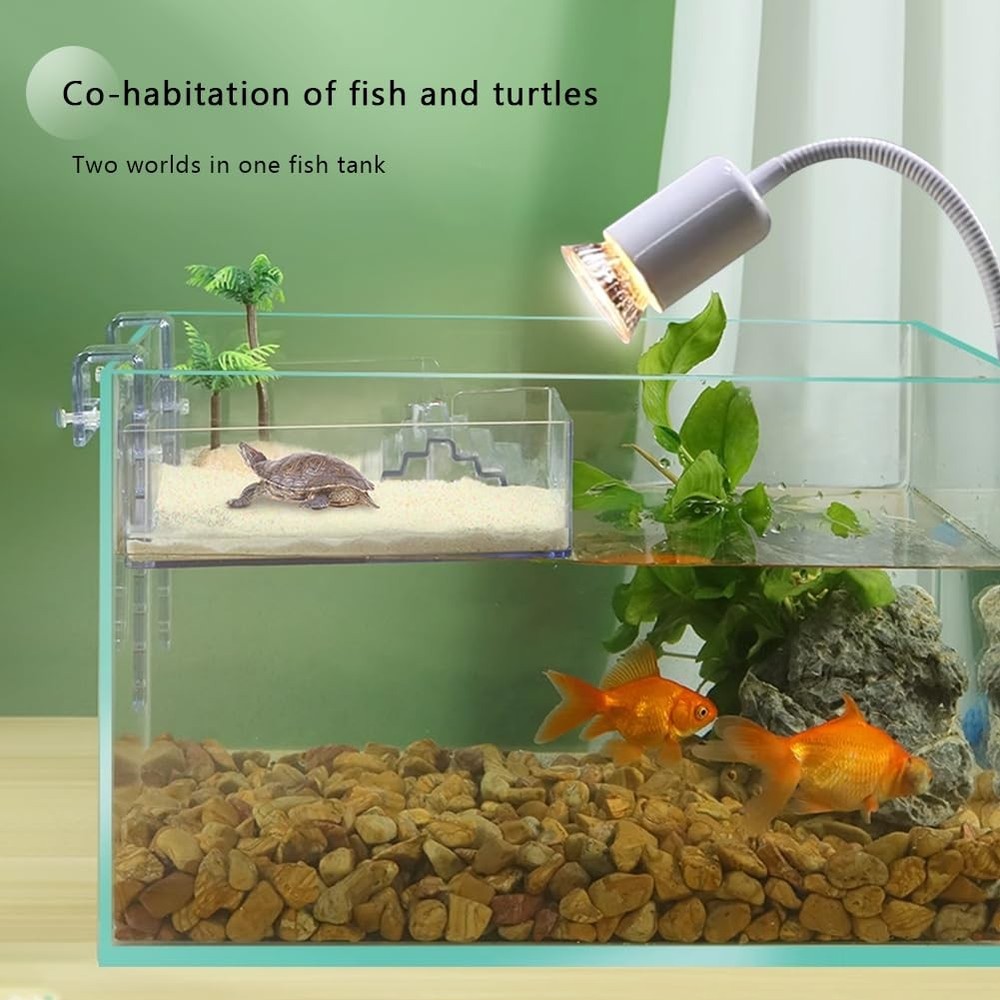 Hanging Acrylic Turtle Basking Platform with Guardrail and Ladder - Tortoise ...