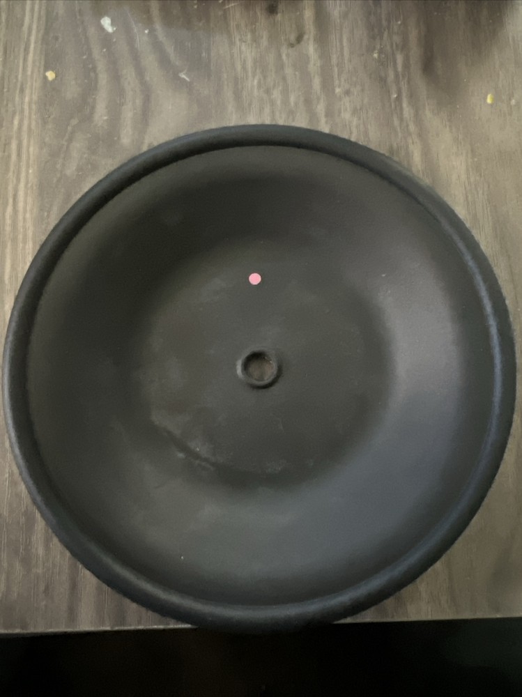Wilden Pump 02-1010-52 Diaphragm