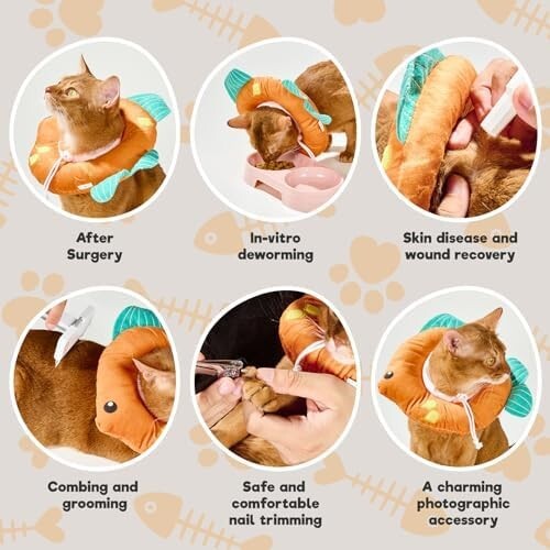 Cat Cone, Adjustable Cat Recovery Collar, Extra Soft Cat (Grapefruit, M)