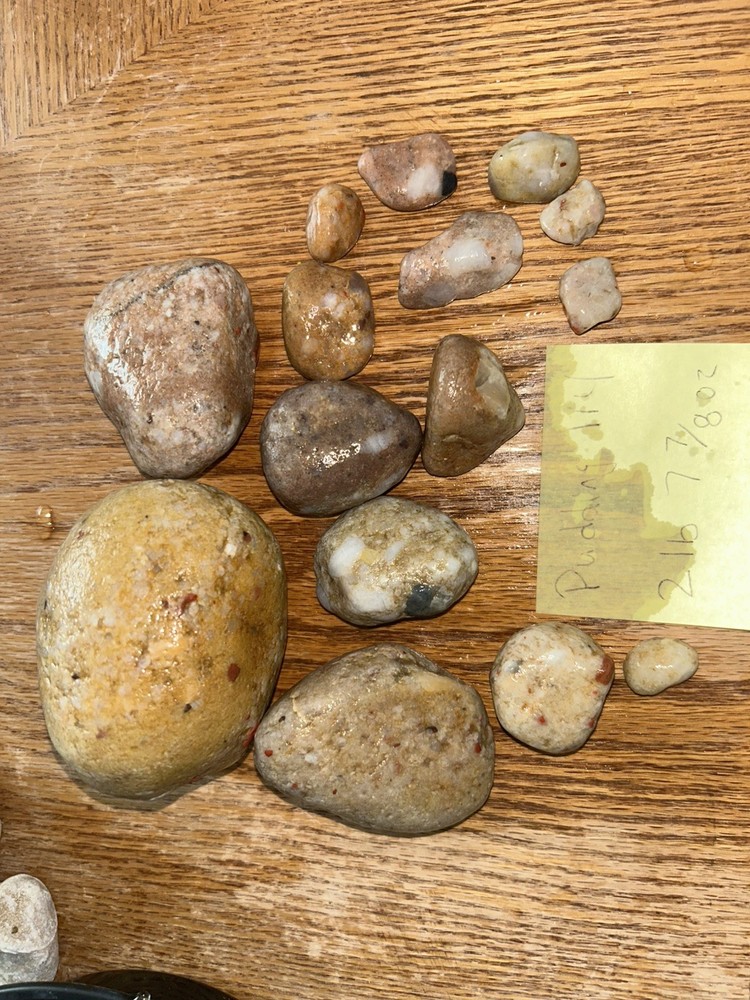 Pudding Stones From Upper Michigan