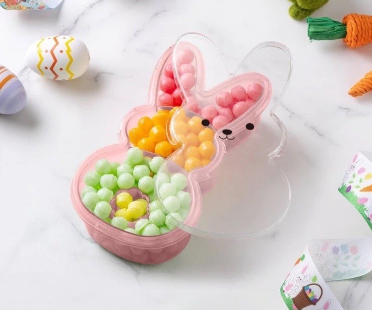 NWT Cook With Color Bunny Snack Box Container