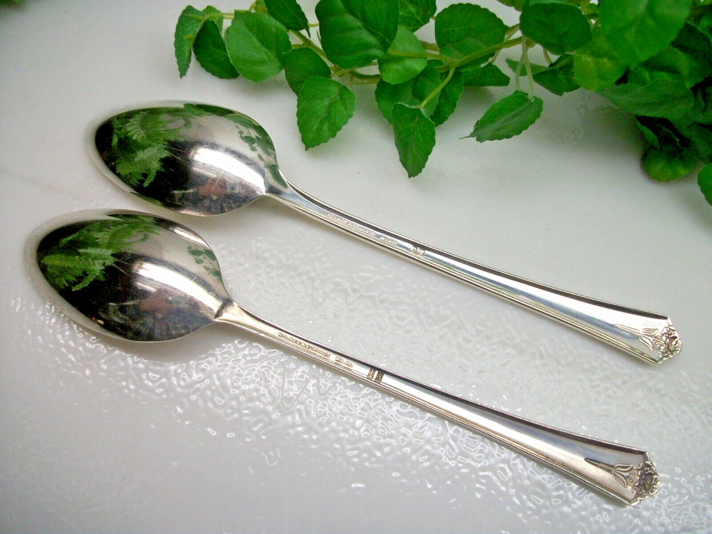 International Holmes & Edwards SPRING GARDEN Silverplate Solid Serving Spoons