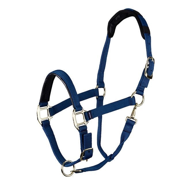 Break Away Halter