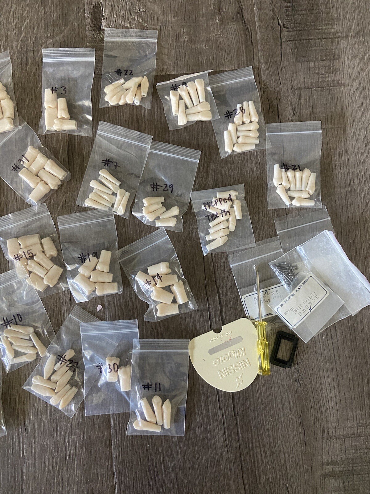 Kilgore Nissin Typodont Teeth Lot