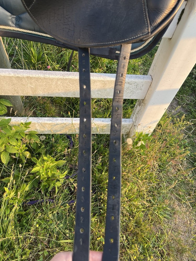 2017 Custom Saddlery Icon Star