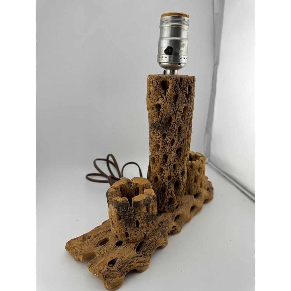 Cholla Cactus Lamp Rustic Desert Decor Table Lamp Unique Accent Lighting