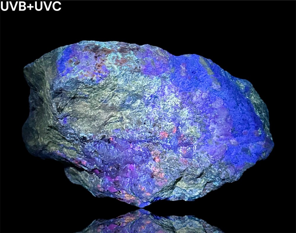 2282 Gr. Fluorescent Hackmanite W/ Sodalite, Fluorapatite, Phlogopite, Unknown