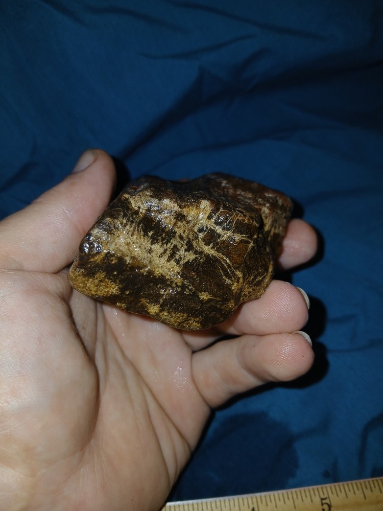 11 oz Petrified Wood