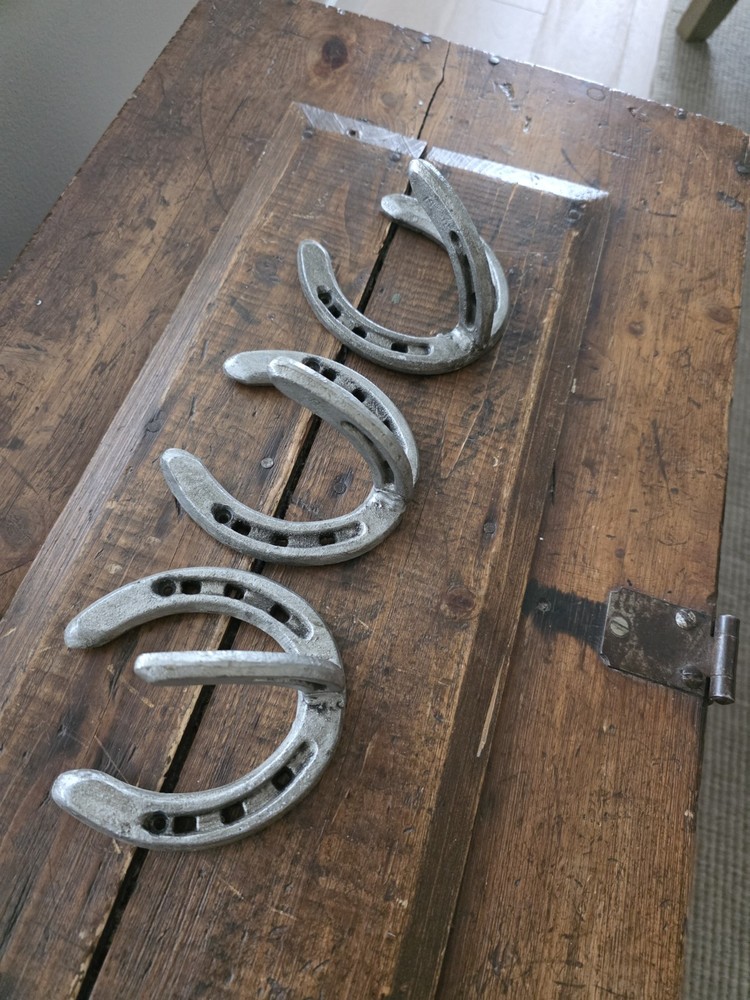 🔥 3 Cast Iron "Horseshoe" Hooks