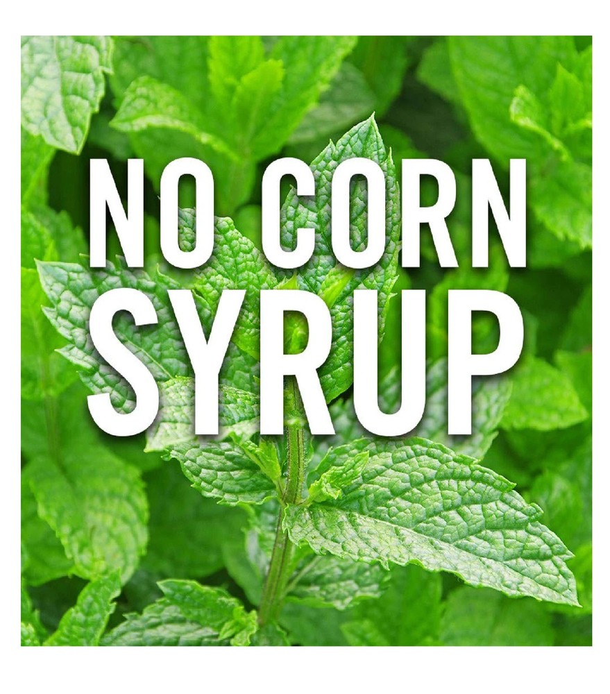 McCormick Pure Mint Extract 2 fl oz