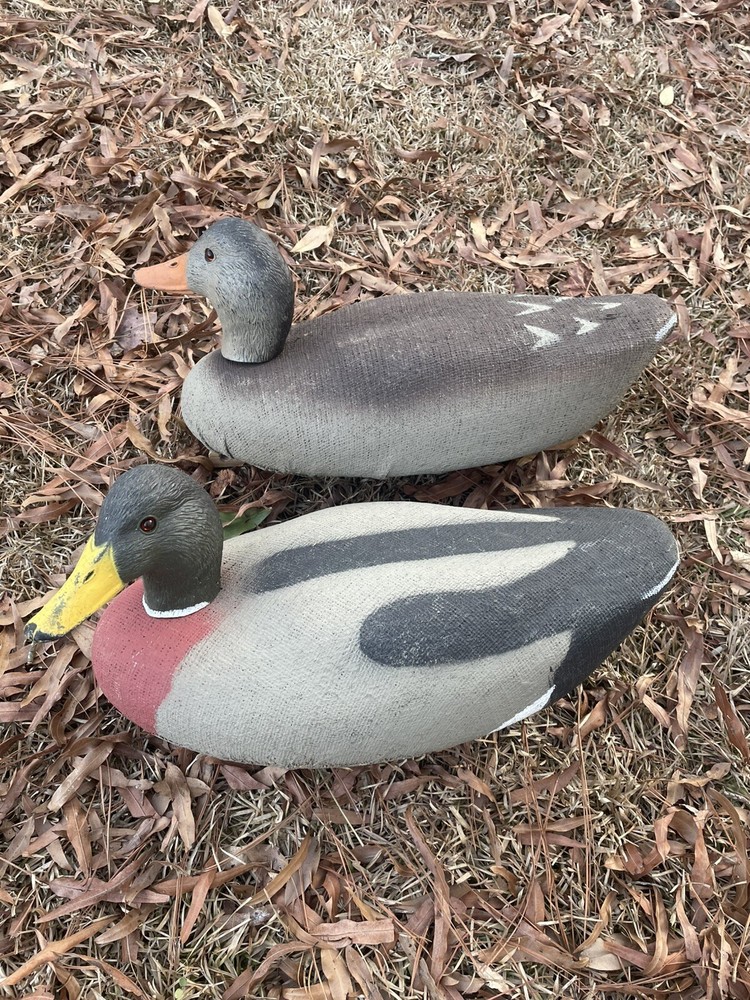 duck decoy