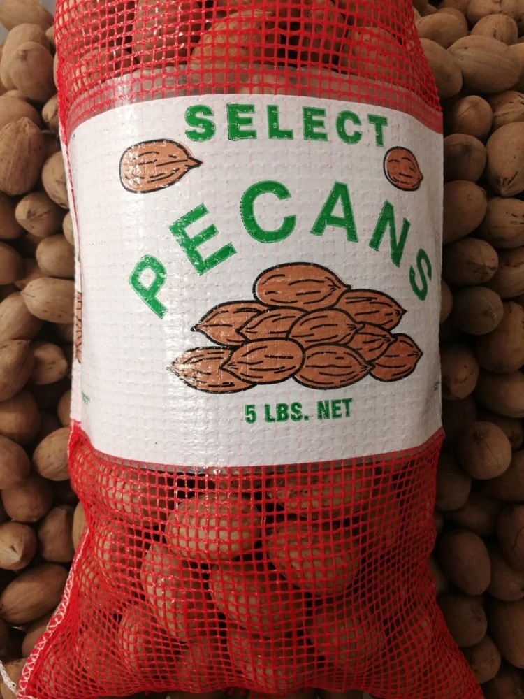 In Shell Pecans from Texas 2025 Crop 5 Pounds