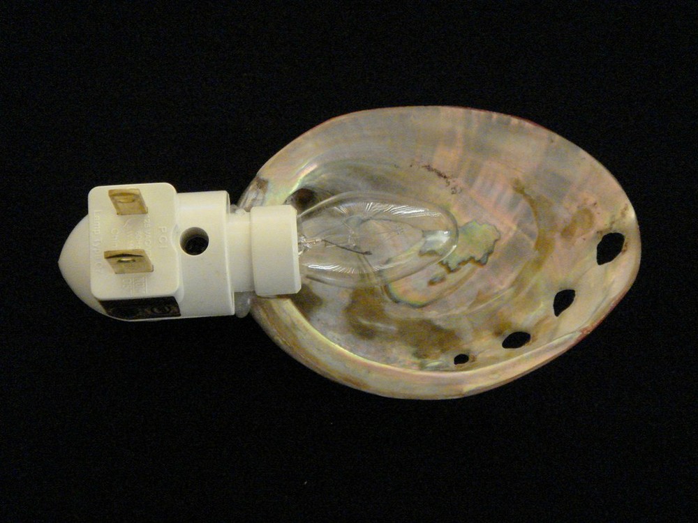 RED ABALONE SEA SHELL NIGHTLIGHT BATHROOM KITCHEN #7202
