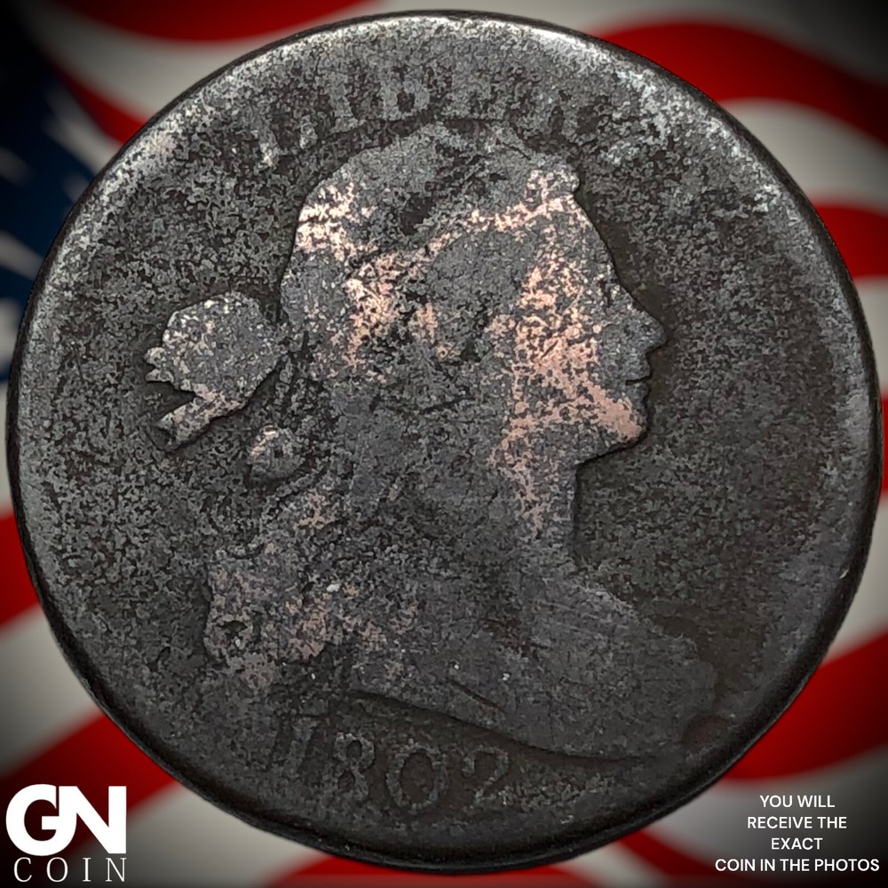 1802 Draped Bust Large Cent X5002