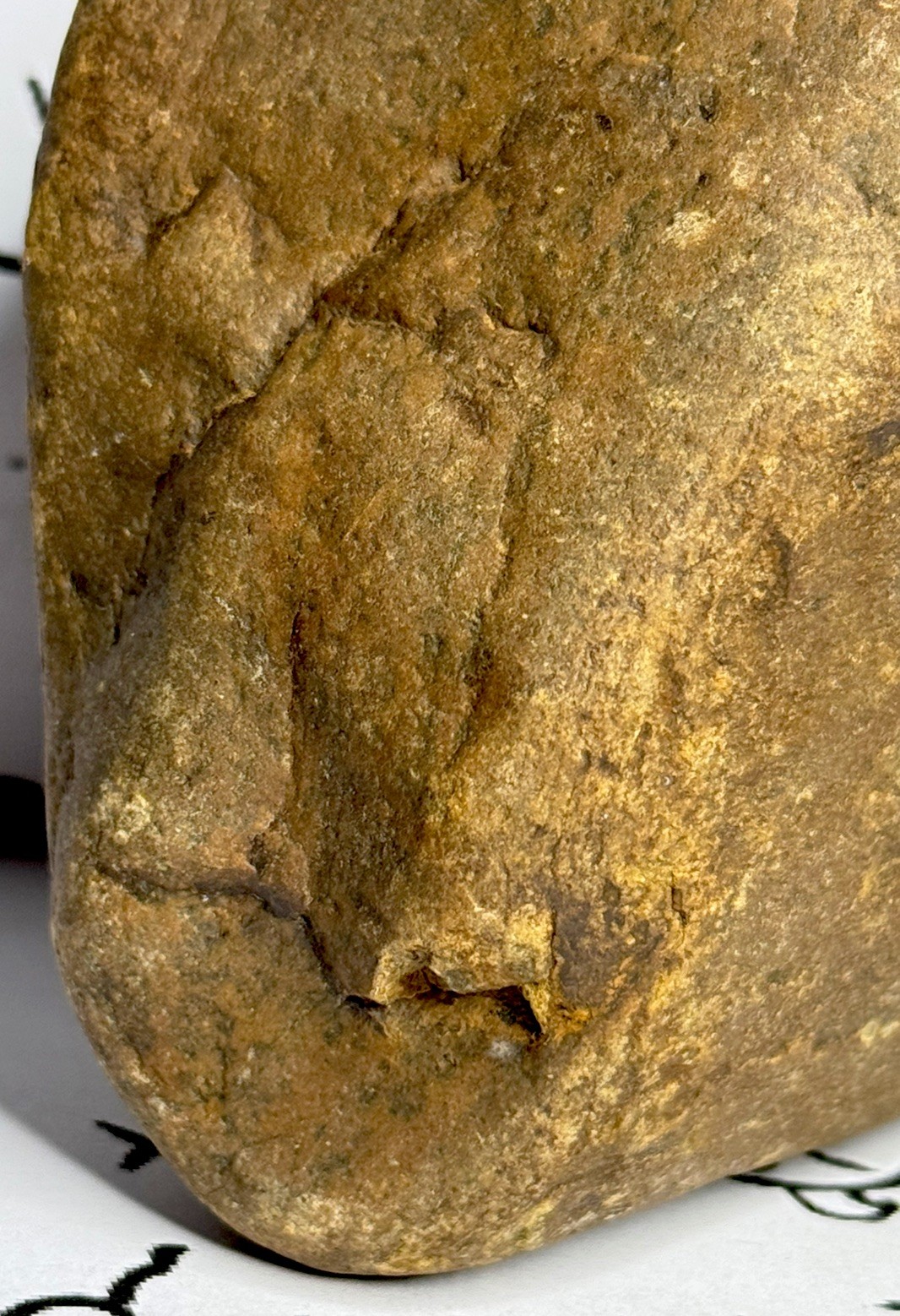 Native American Indian Authentic Artifact Stone Carved Effigy, 2 lb 13 oz • VA