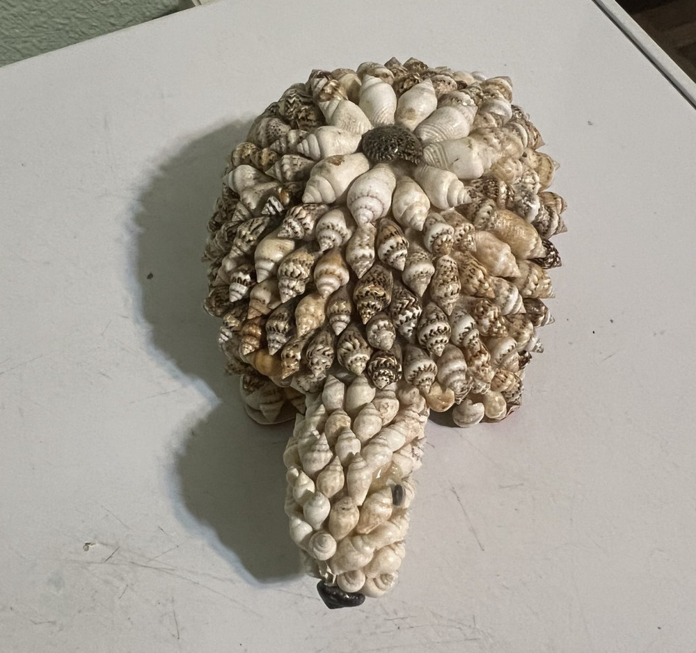 Large turtle figure made with Seashells