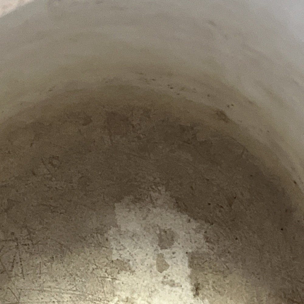 Silver Plate Enamel Lined Victorian Water Pot Pitcher 1868 Grape Vine