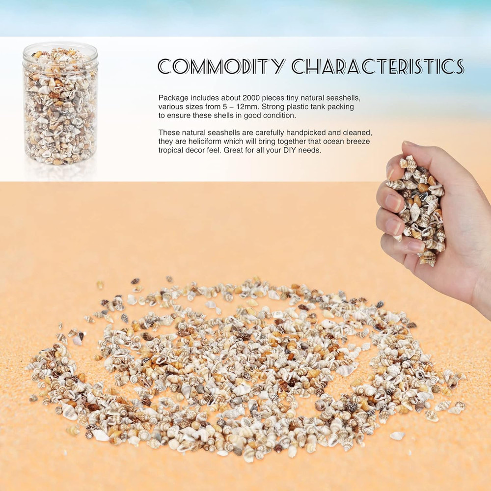 2000 Pcs Tiny Sea Shells for Crafting,Mixed Ocean Beach Mini Seashells Bulk f...
